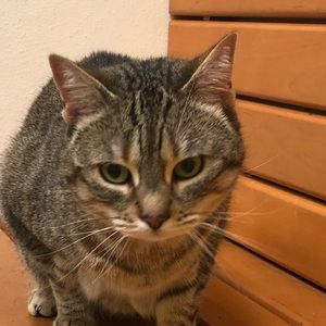 Meet your Posher, Julia